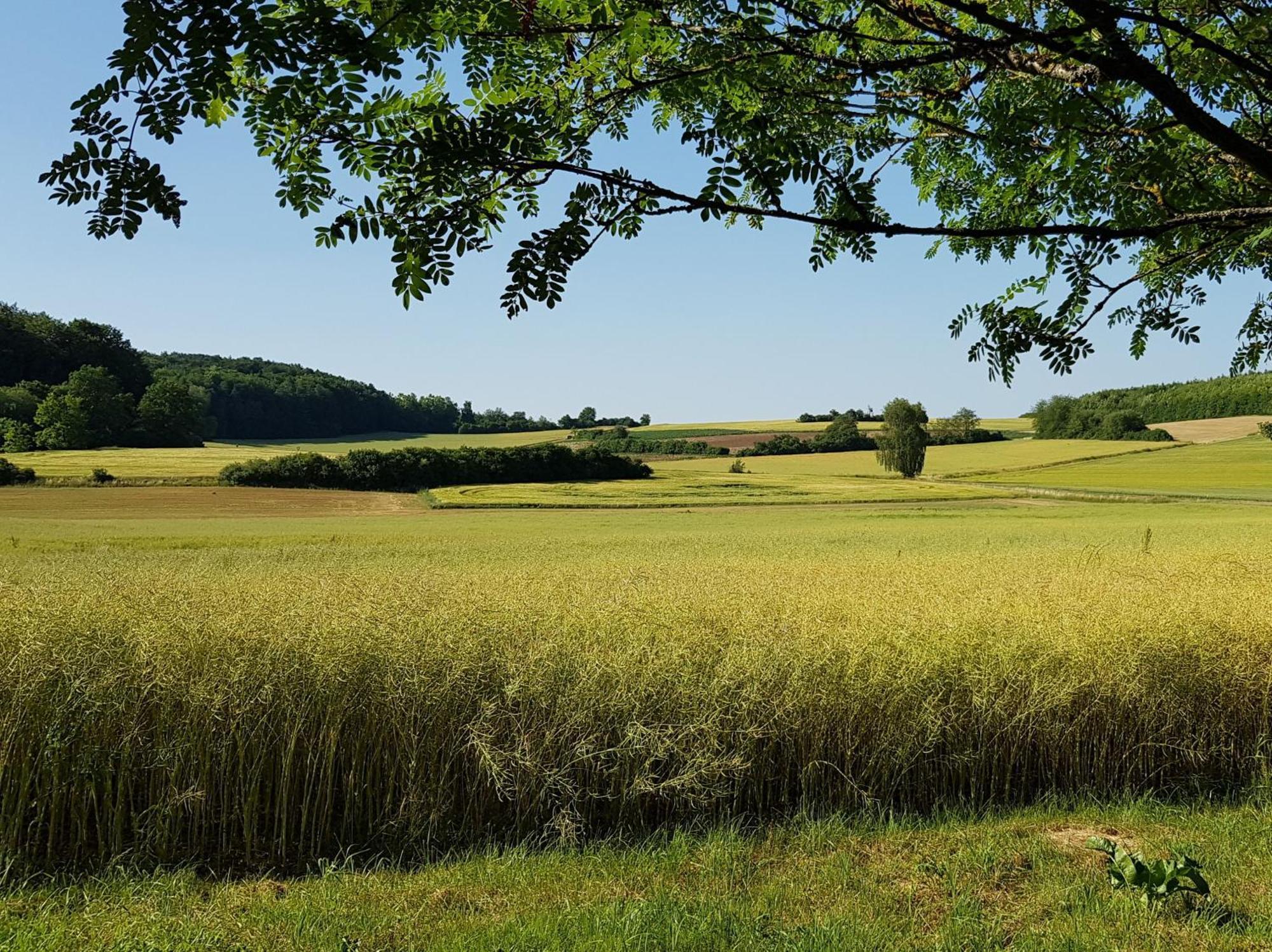 Ferienhaus Forstblick Betzenstein Экстерьер фото