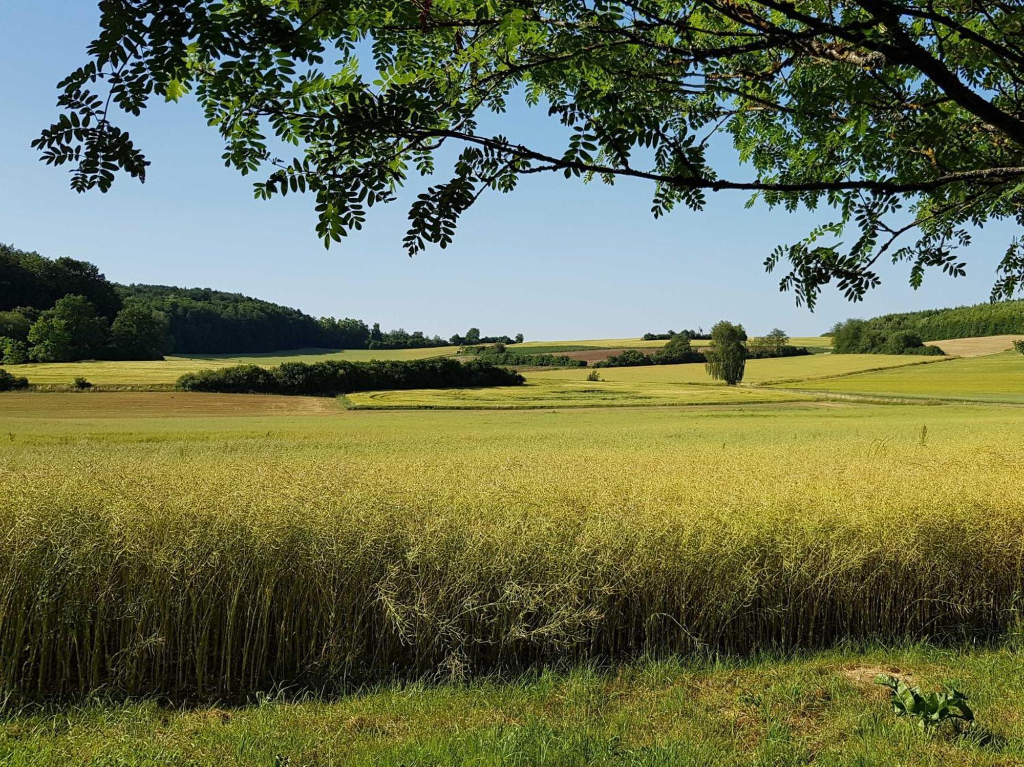 Ferienhaus Forstblick Betzenstein Экстерьер фото